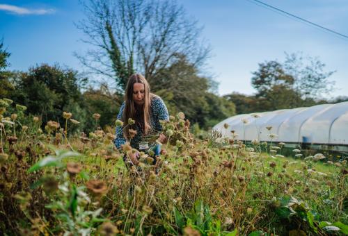 Lady pruning plants in garden